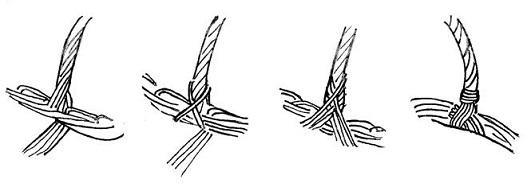 Solmun punominen, mallikuva (piirros)